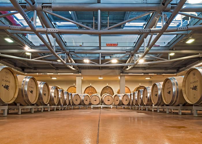 Icario Winery: Wijntour en proeverij in Montepulciano